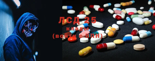 spice Тайга
