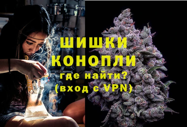 ГАЛЛЮЦИНОГЕННЫЕ ГРИБЫ Белоозёрский