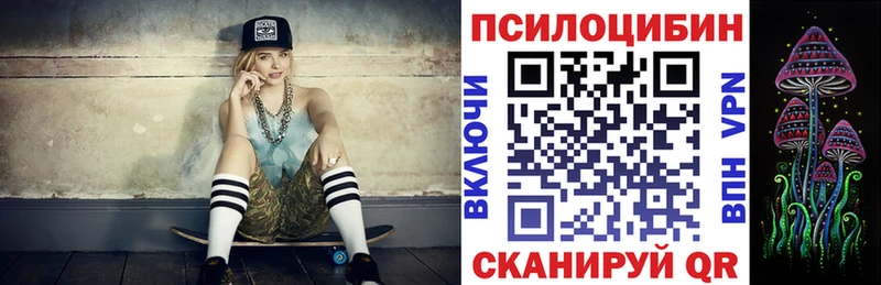 blacksprut как войти  Бузулук  Галлюциногенные грибы Psilocybe 